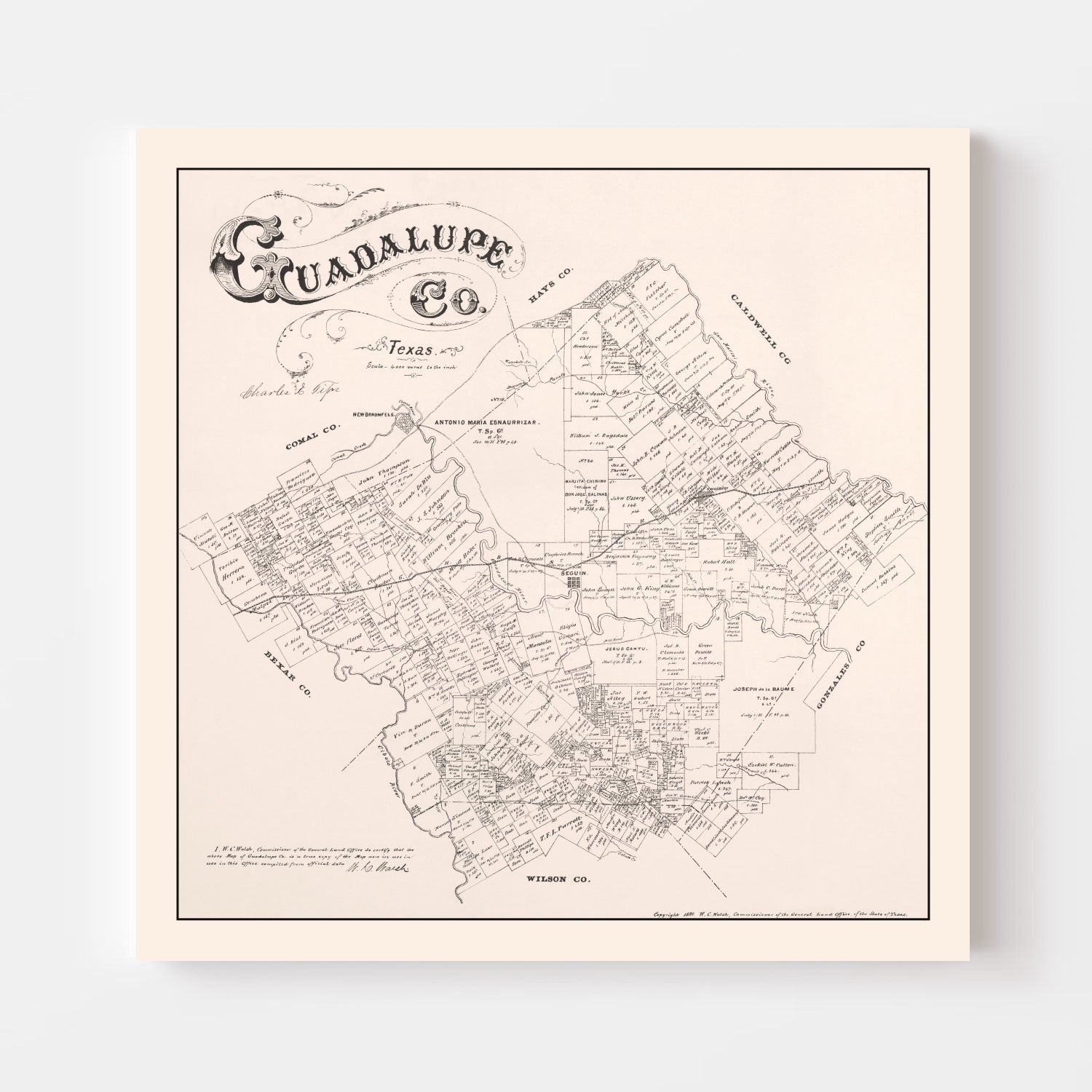 Vintage Map of Guadalupe County, Texas 1880