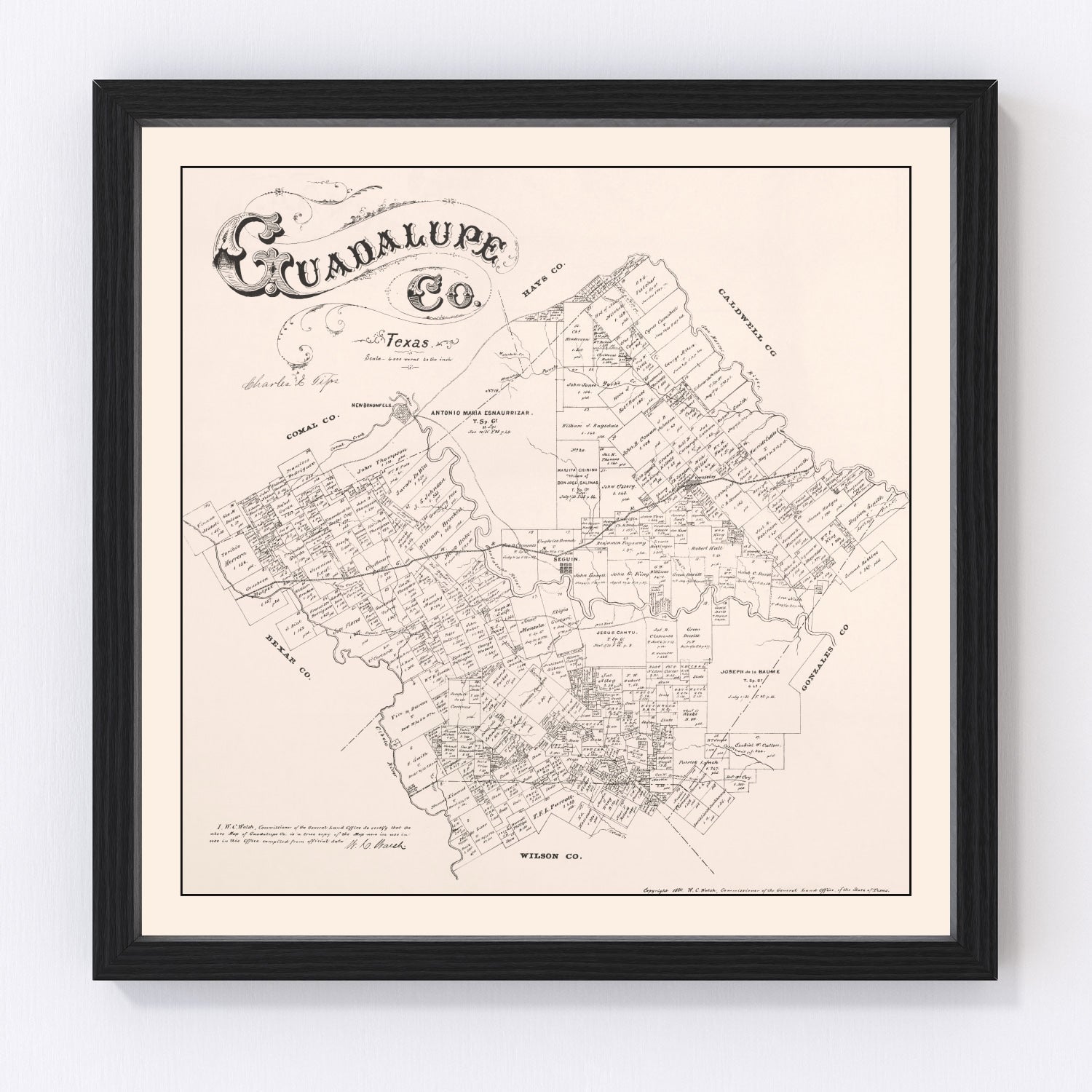 Vintage Map of Guadalupe County, Texas 1880