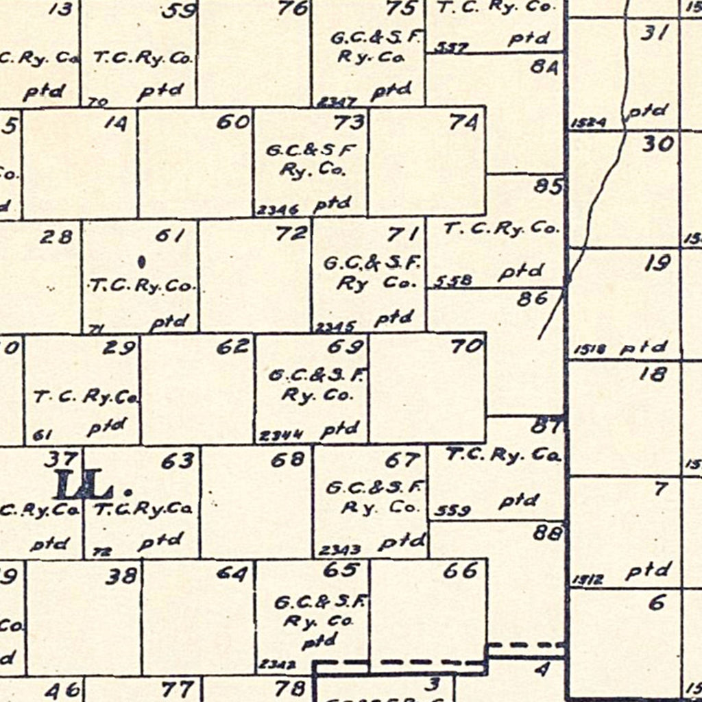 Vintage Map of Schleicher County, Texas 1898