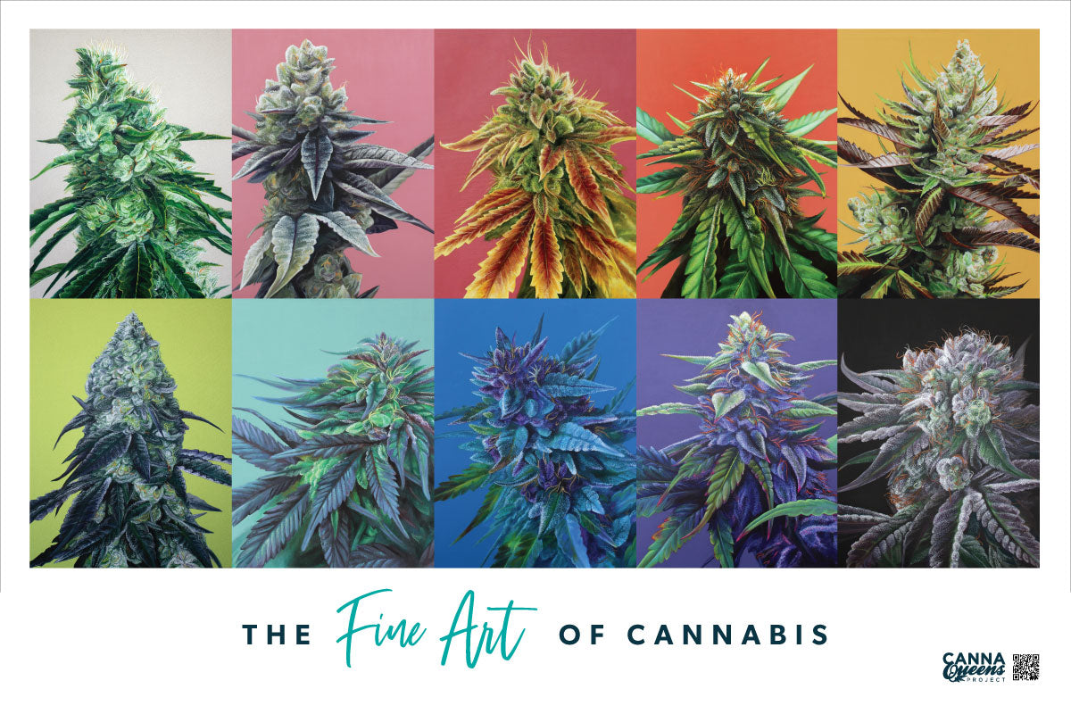 10 Strain 36"x24" Poster