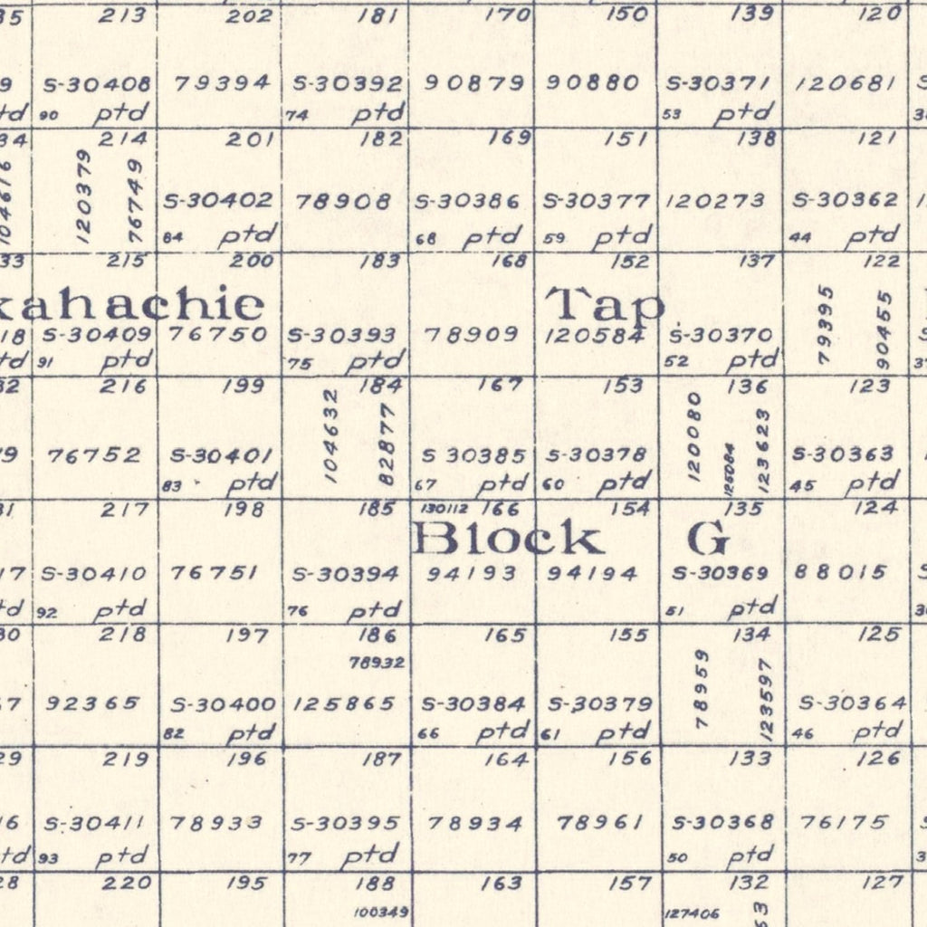 Vintage Map of Gaines County, Texas 1922