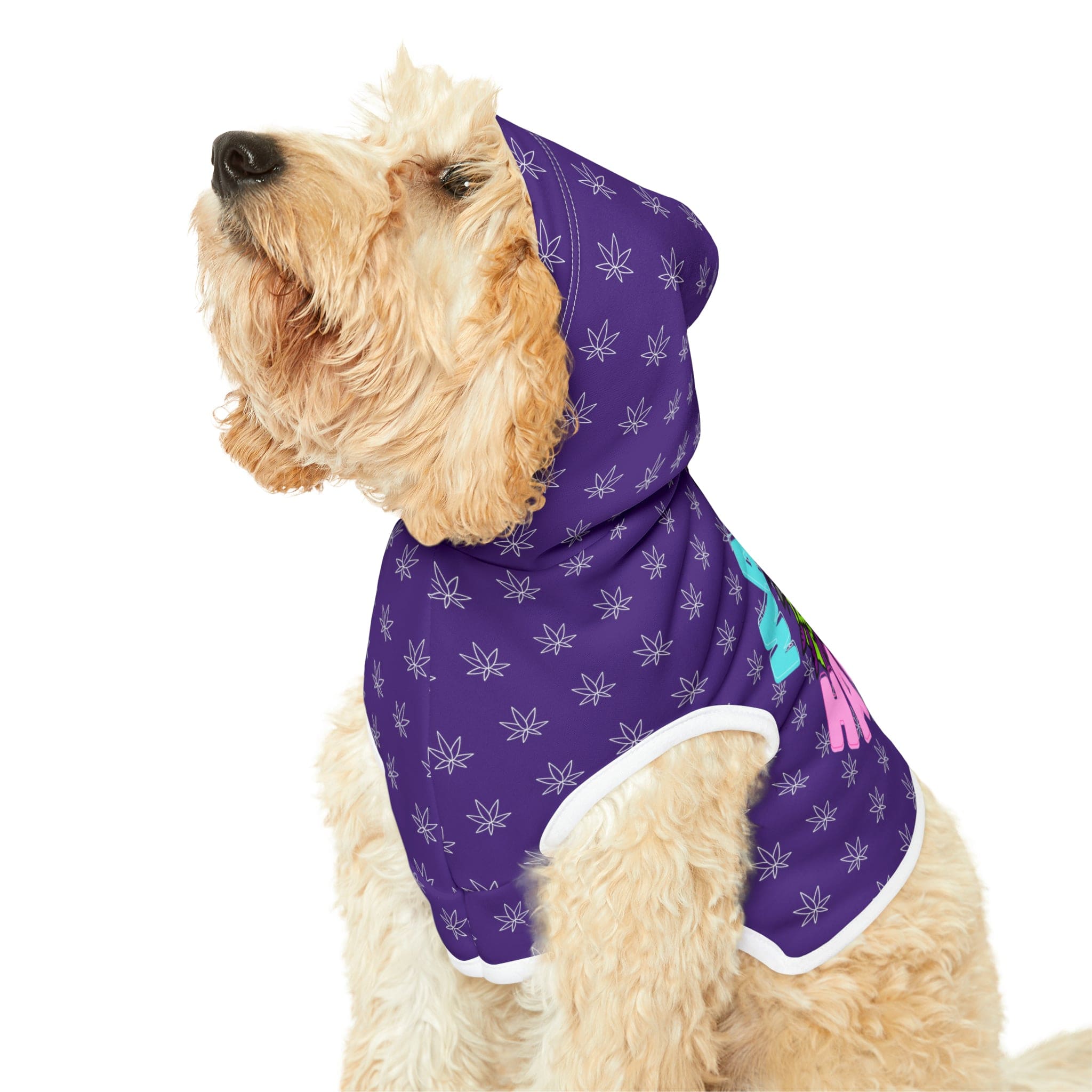Make It Happen Cannabis Pet Hoodie