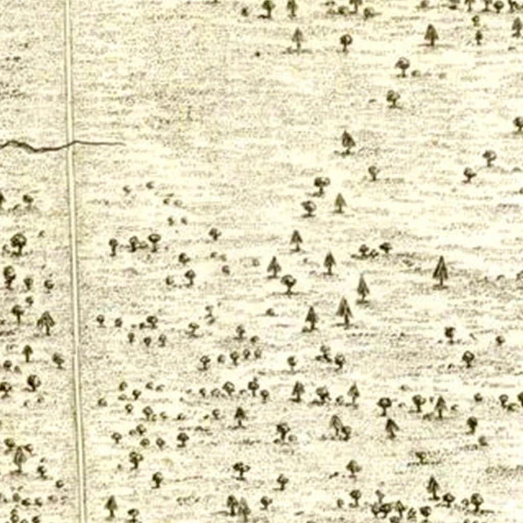 Vintage Battle of Hobkirks Hill Map 1794