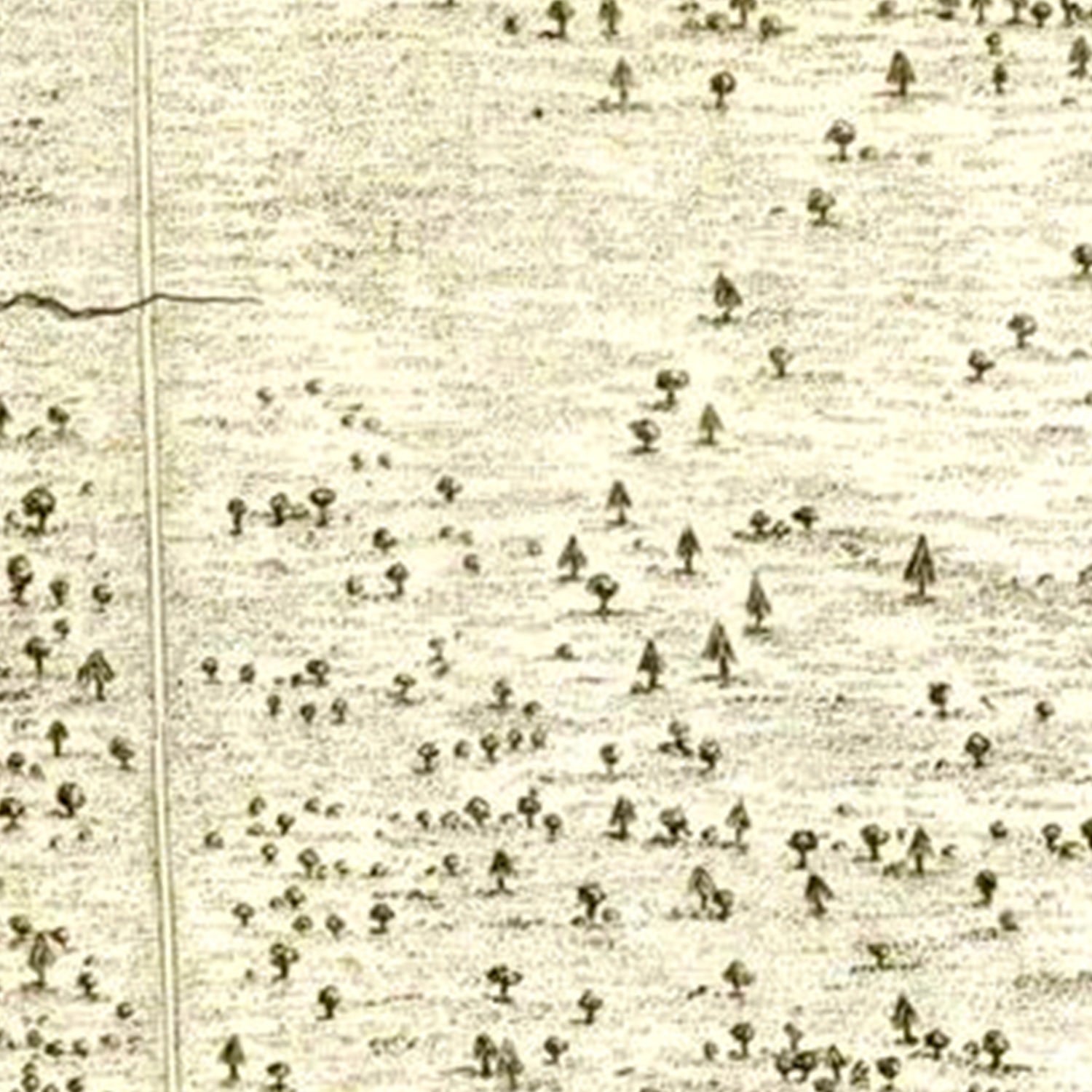 Vintage Battle of Hobkirks Hill Map 1794