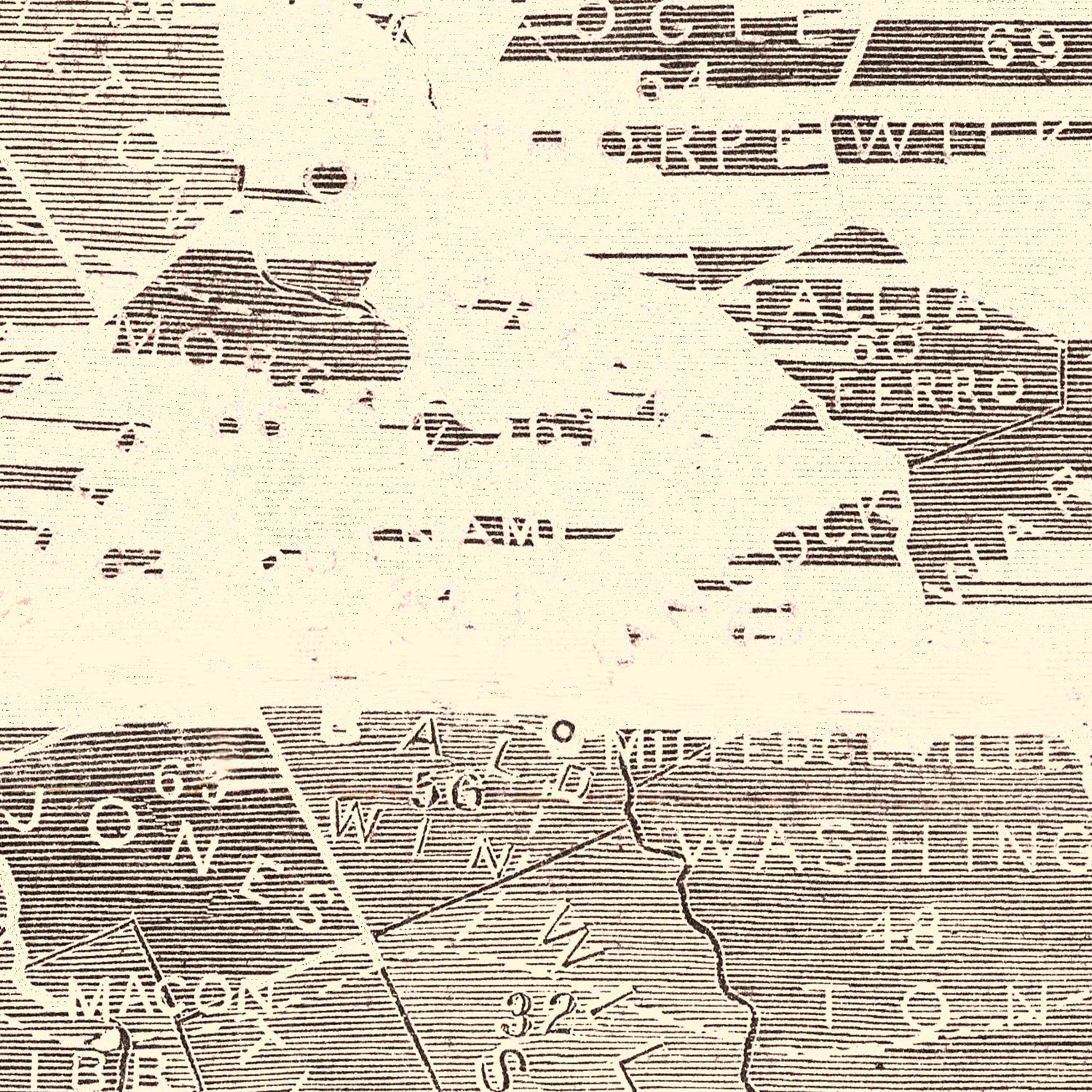 Vintage Georgia Slave Map 1861