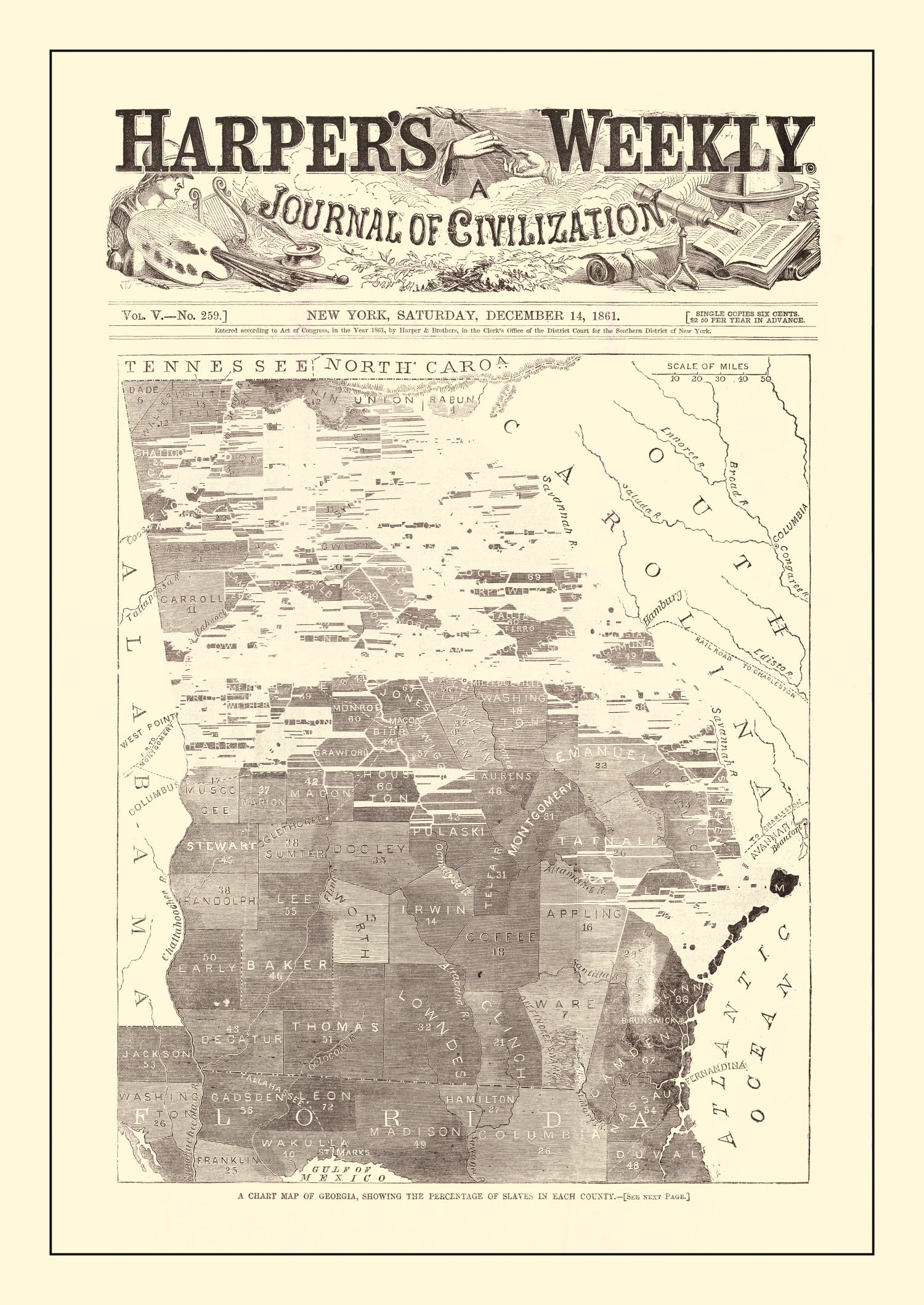 Vintage Georgia Slave Map 1861