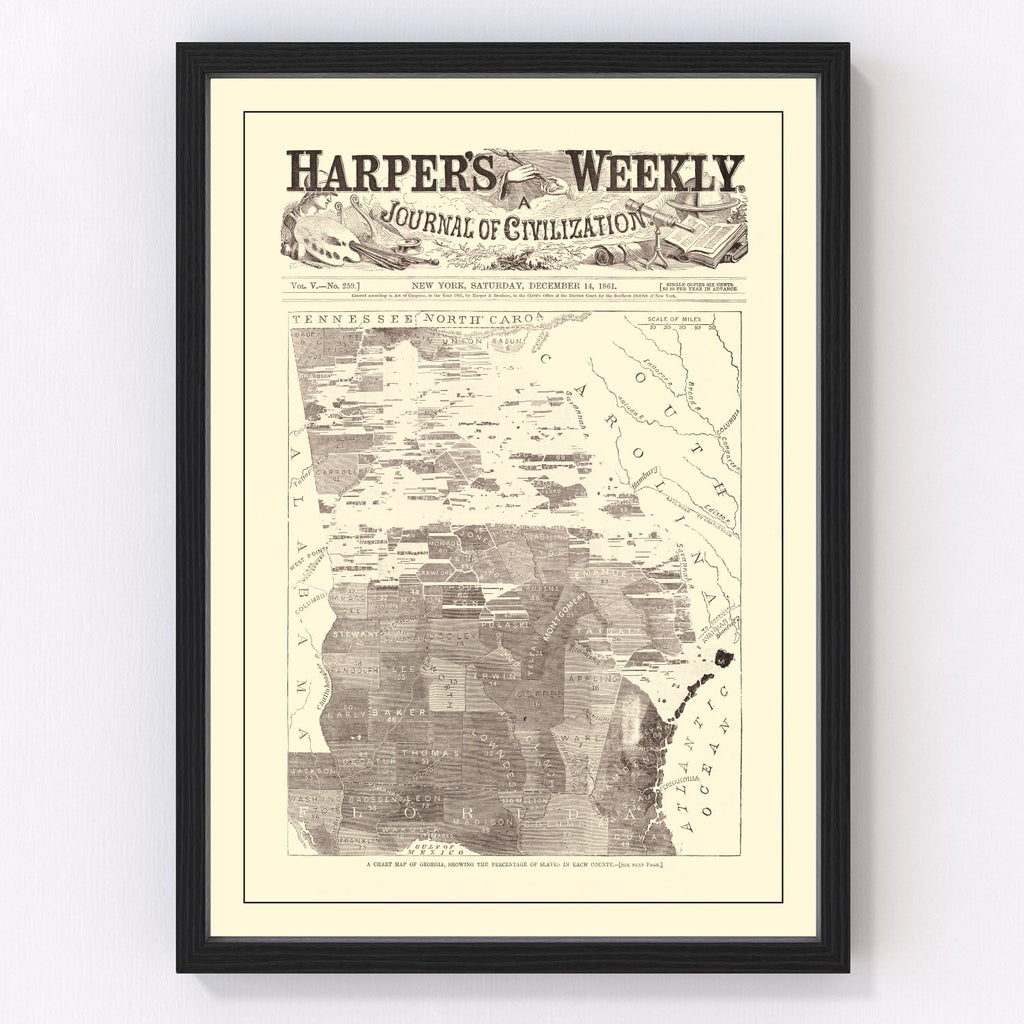 Vintage Georgia Slave Map 1861