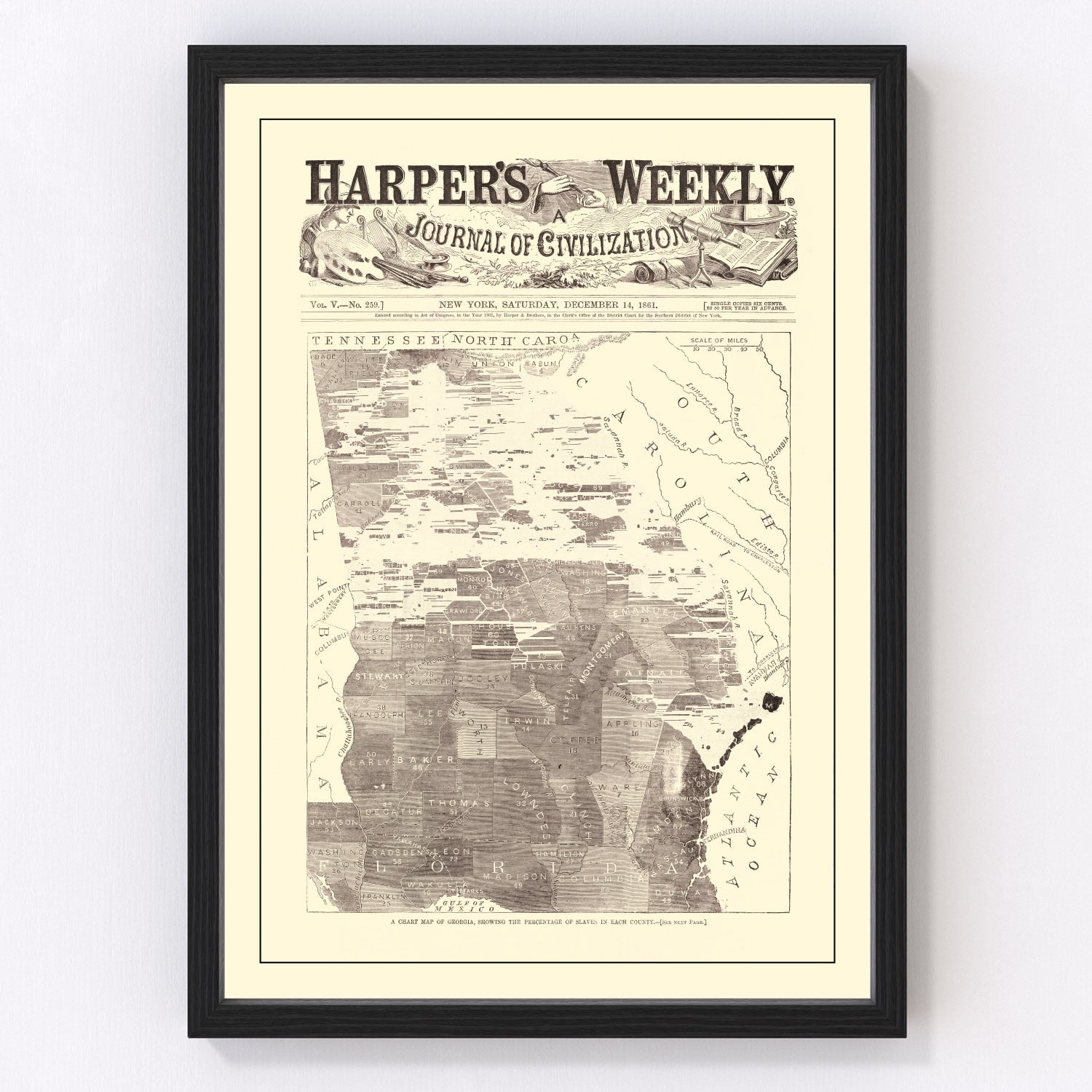 Vintage Georgia Slave Map 1861