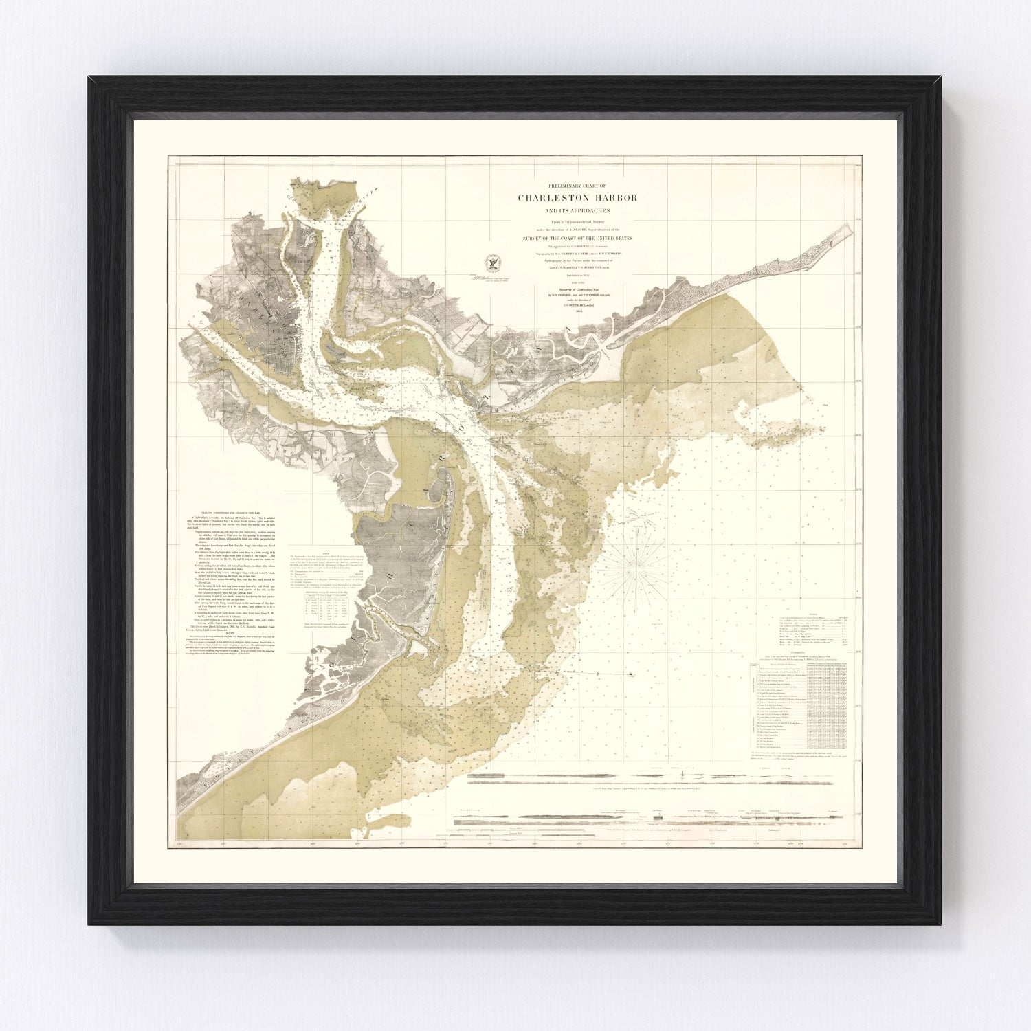 Vintage Charleston Harbor Map 1864