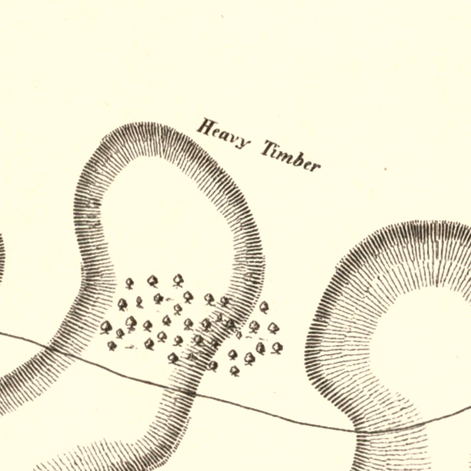 Vintage Fort Henry & Fort Donelson Map 1875