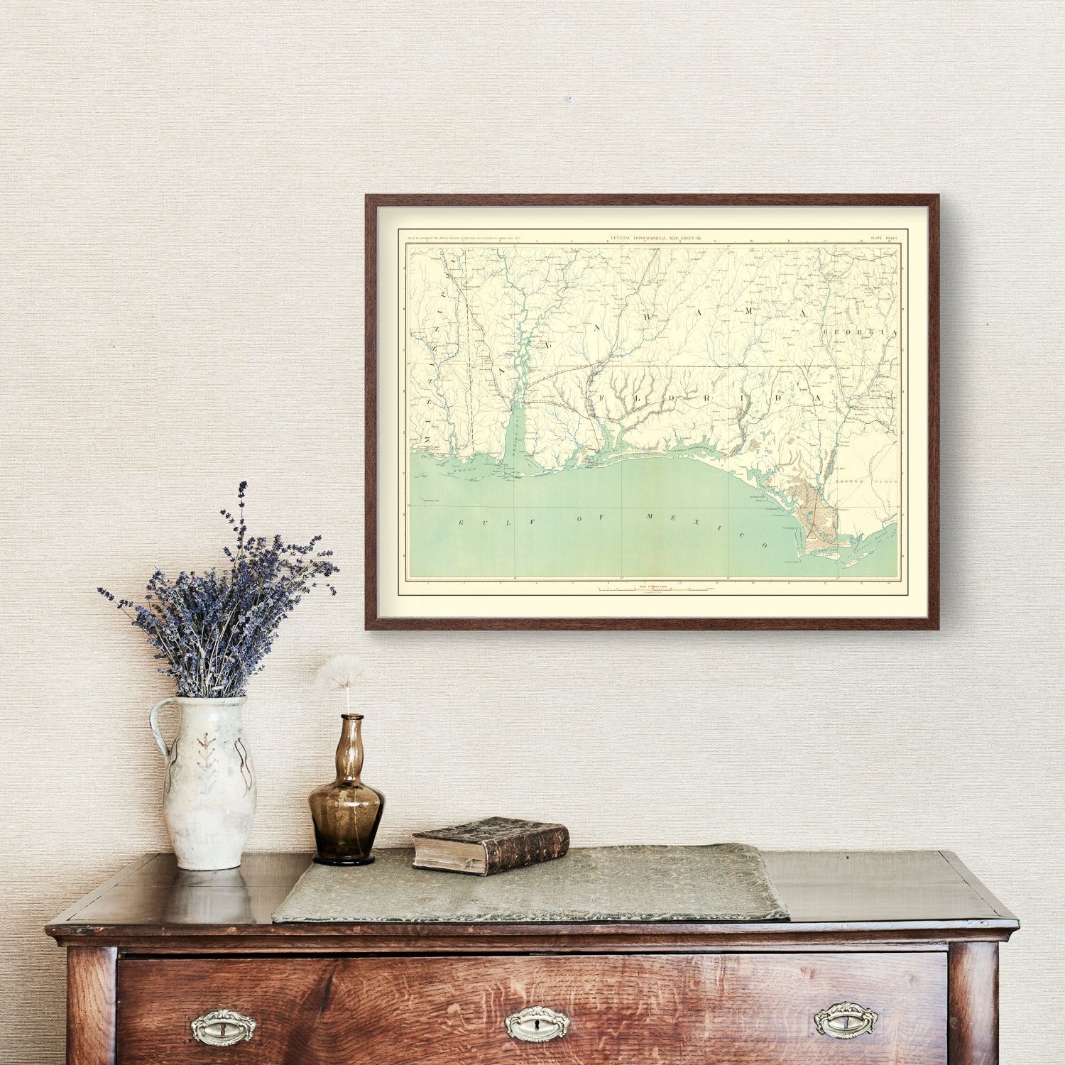 Vintage Civil War Gulf Coast Topographic Map 1893
