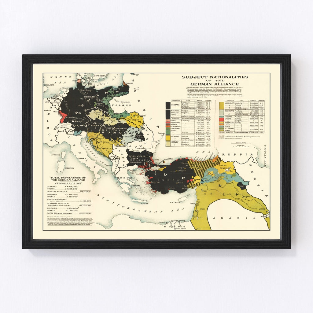 Vintage Map of the Nationalities of the German Alliance 1916