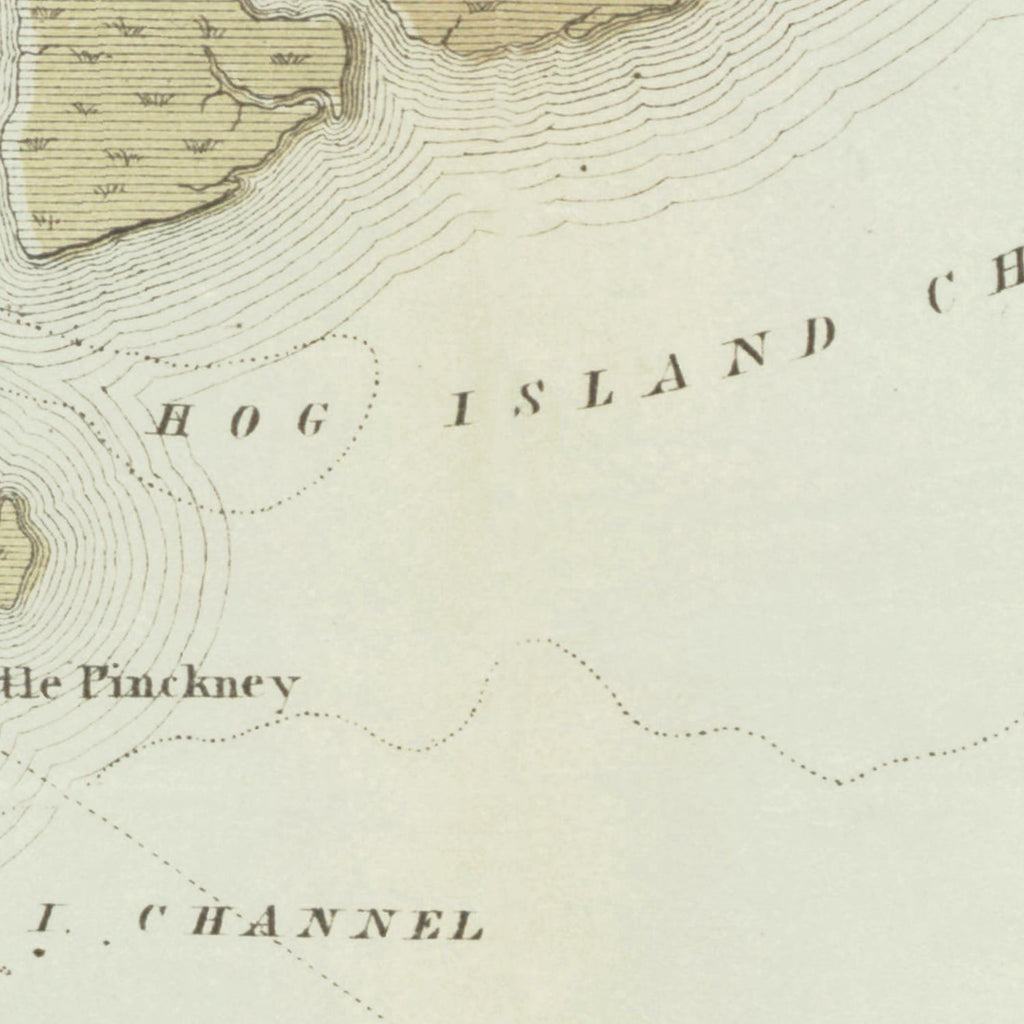 Vintage Charleston Harbor Map 1861
