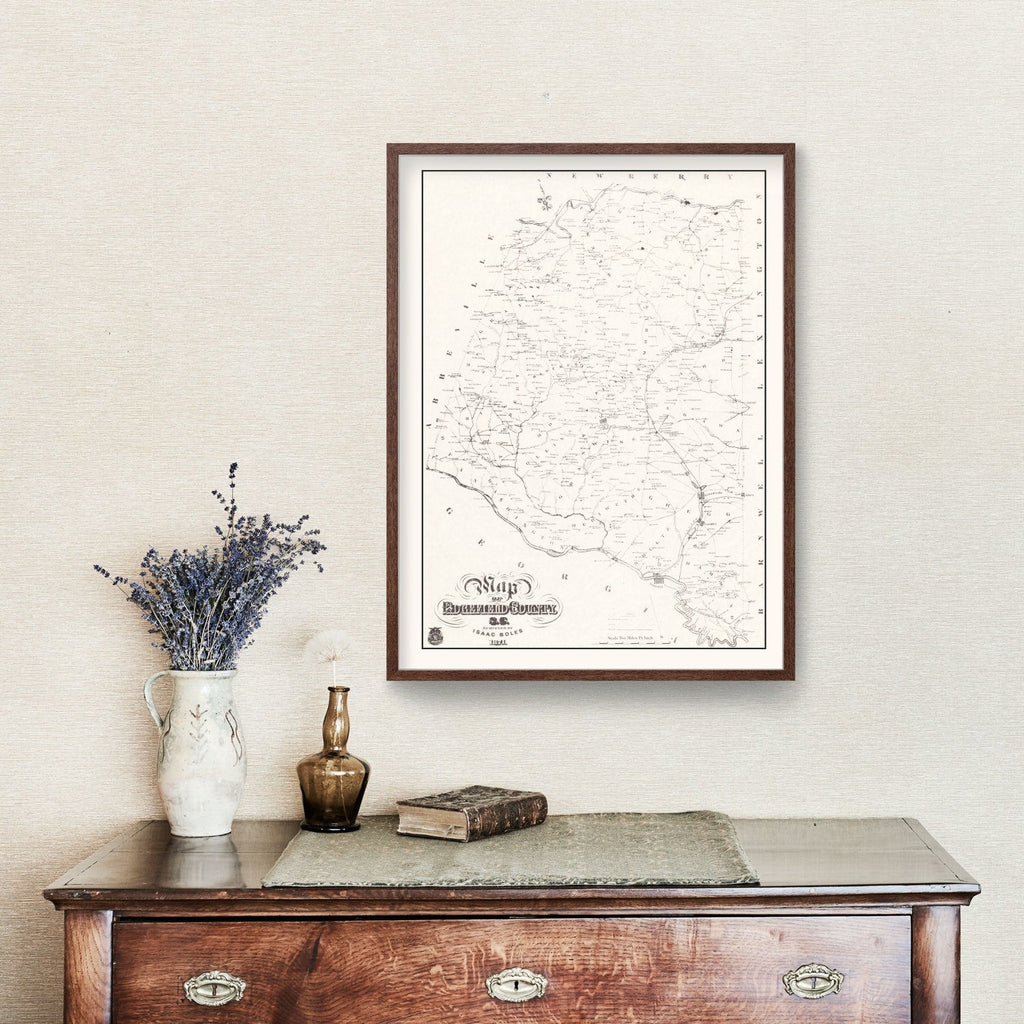 Vintage Map of Edgefield County, South Carolina 1871