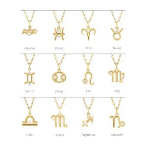 Accented Zodiac Necklace