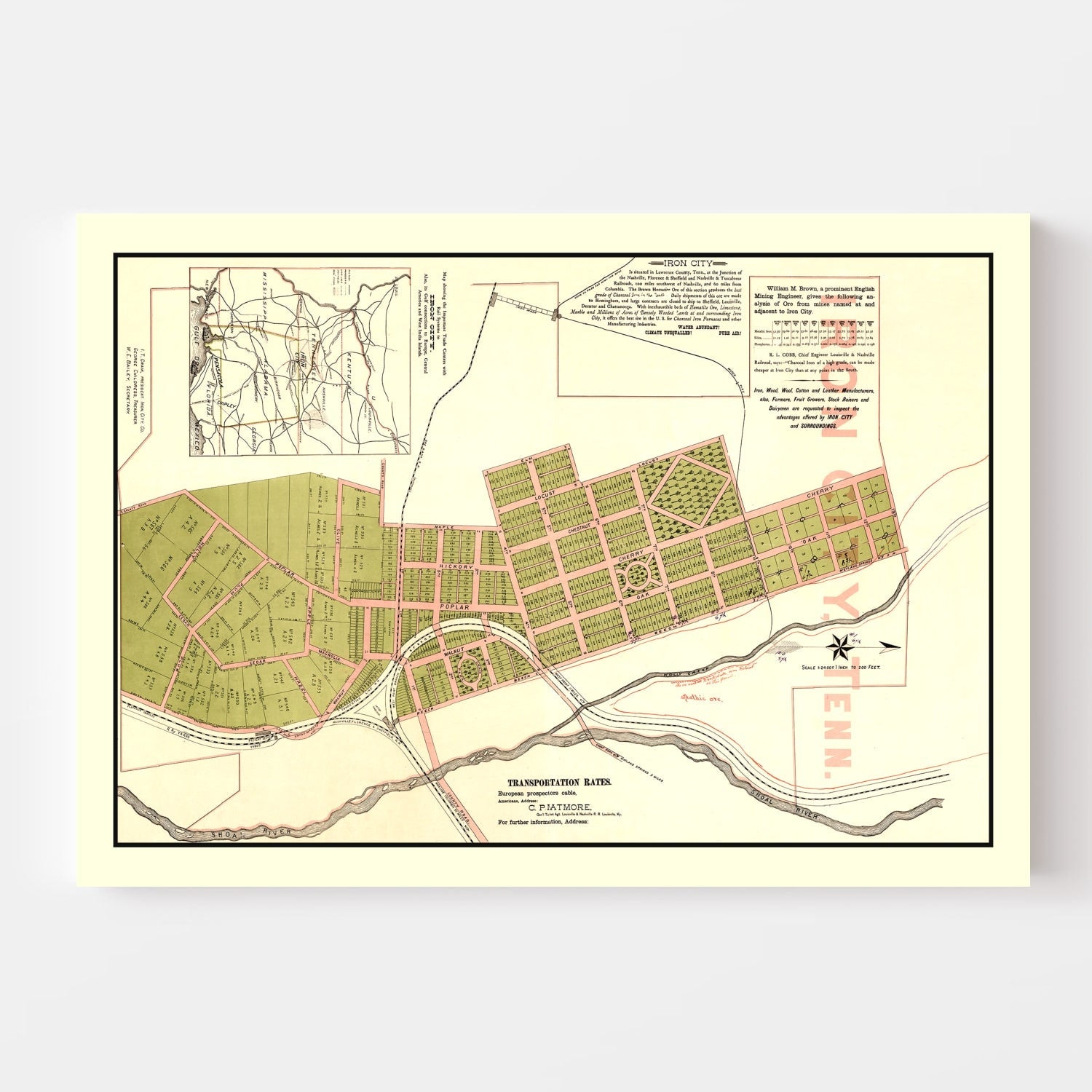 Vintage Map of Iron City, Tennessee 1890