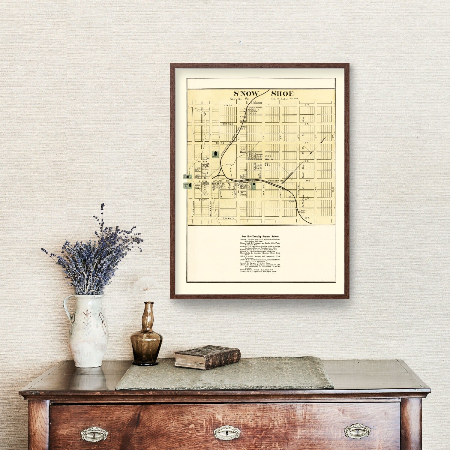 Vintage Map of Snow Shoe, Pennsylvania 1874
