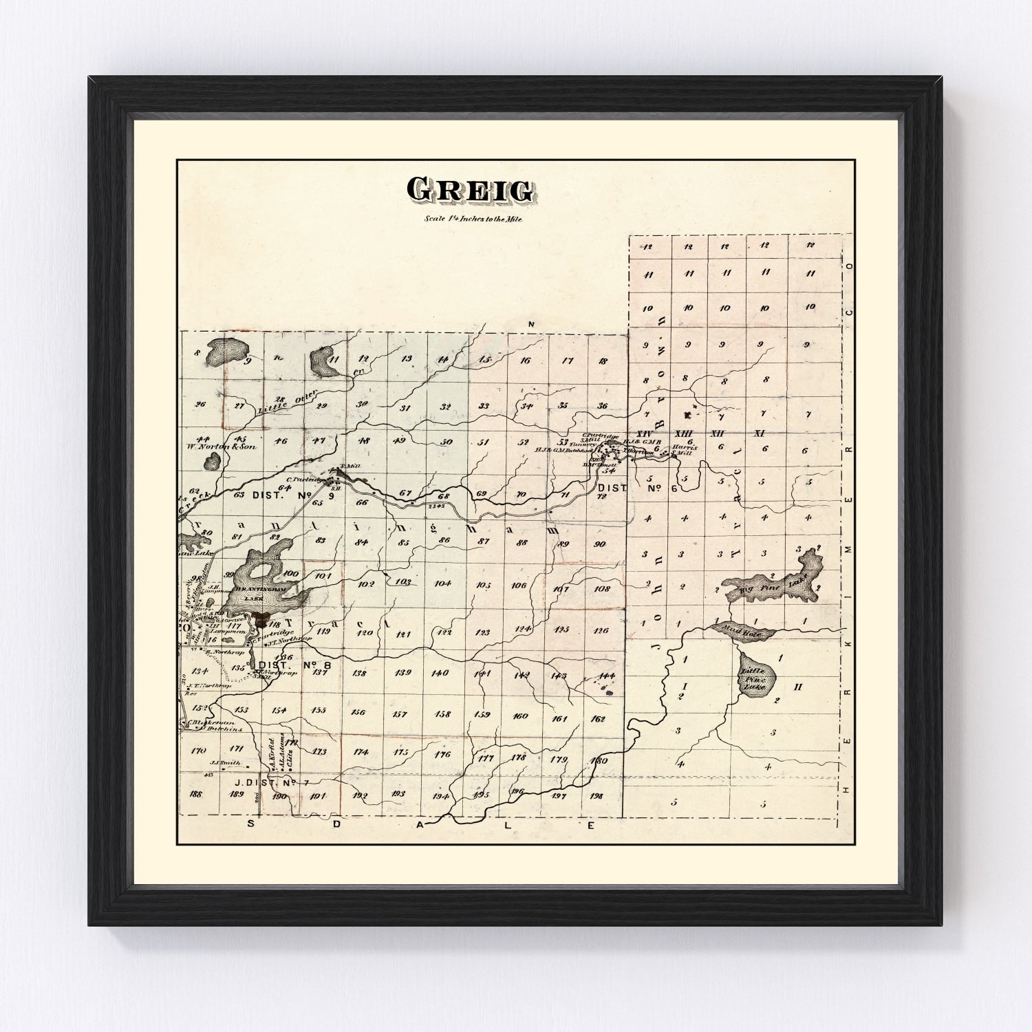Vintage Map of Greig Township, Lewis County, New York 1875