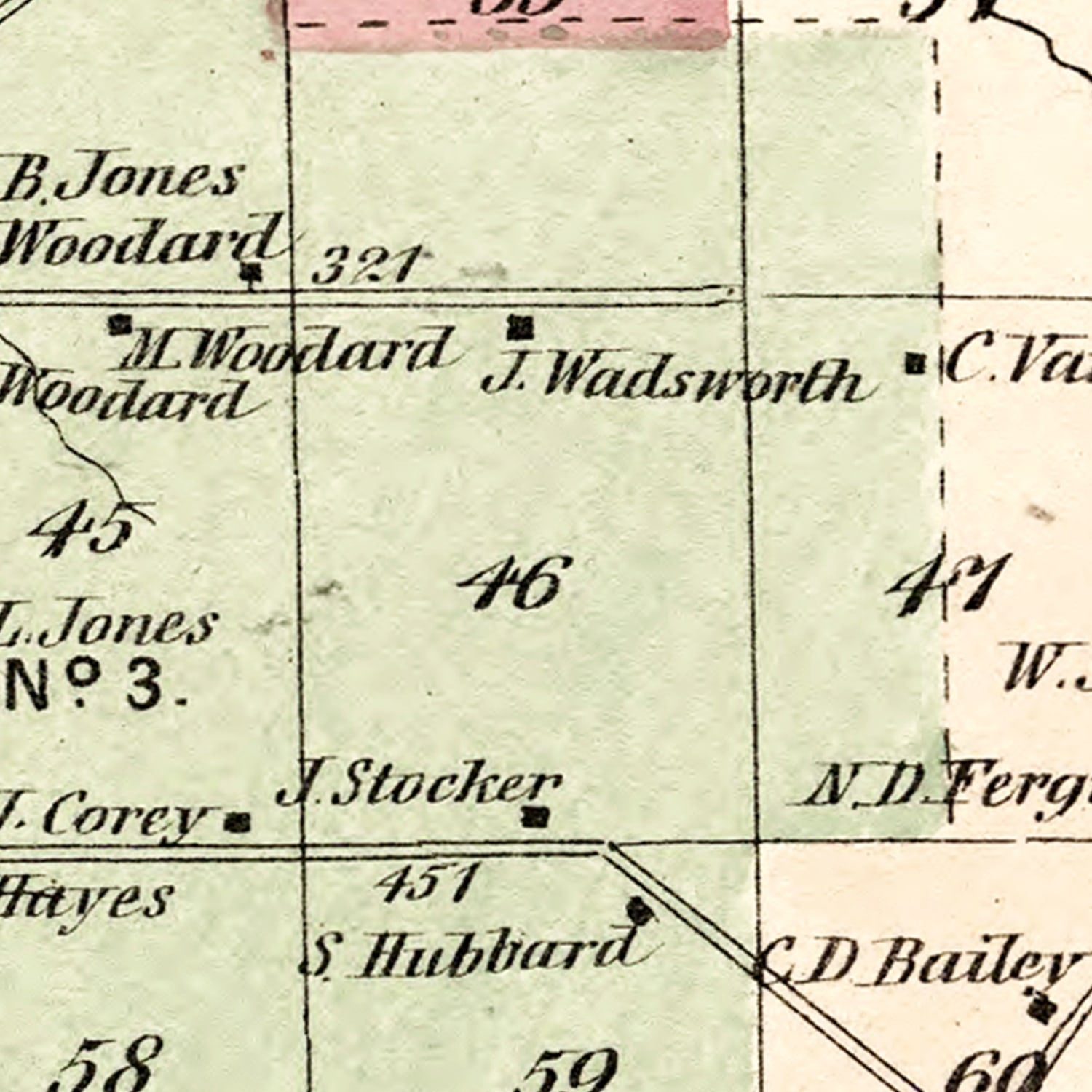 Vintage Map of Pinckney Township, Lewis County, New York 1875