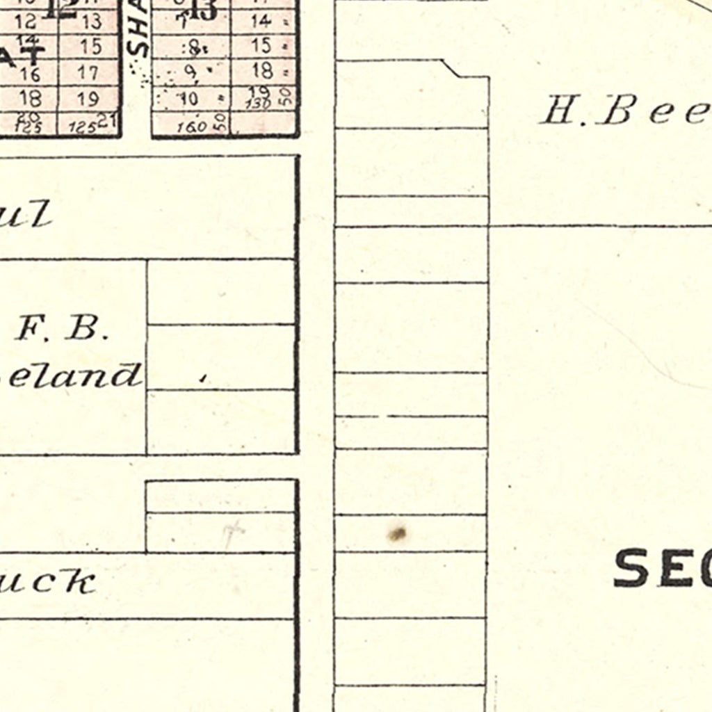 Vintage Map of Linden, Michigan 1889