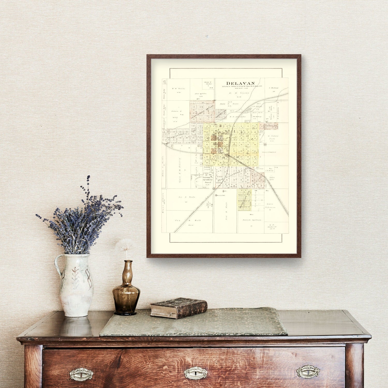Vintage Map of Delavan, Illinois 1891