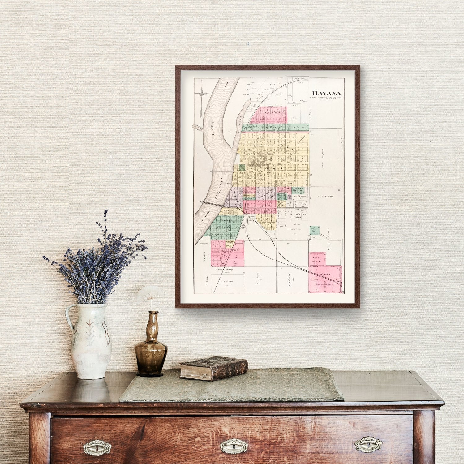Vintage Map of Havana, Illinois 1891