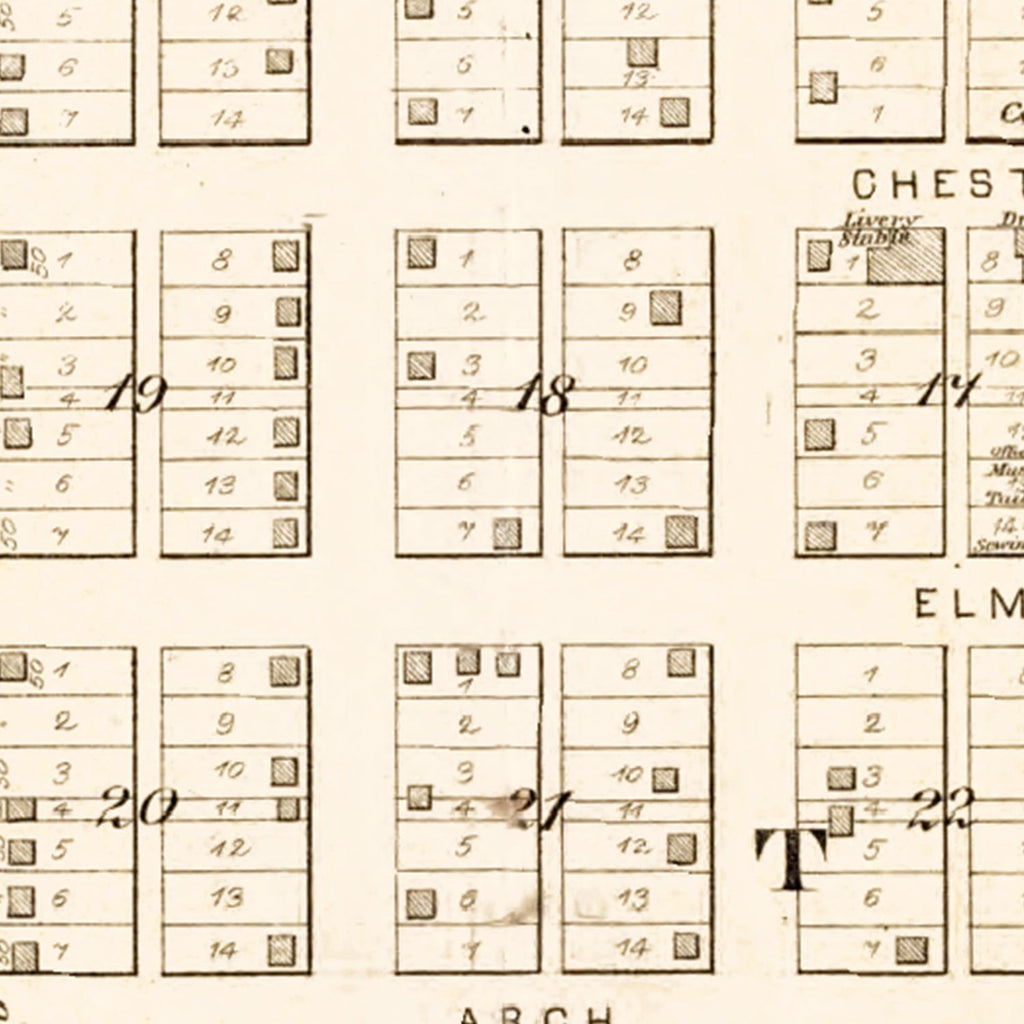 Vintage Map of Mason, Illinois 1891