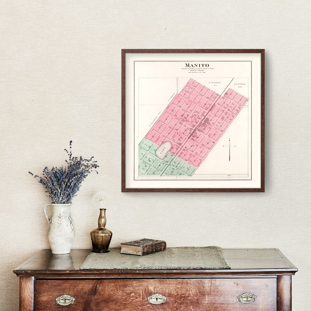 Vintage Map of Manito, Illinois 1891
