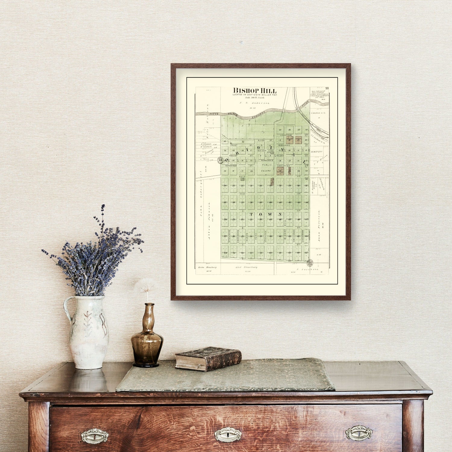 Vintage Map of Bishop Hill, Illinois 1893