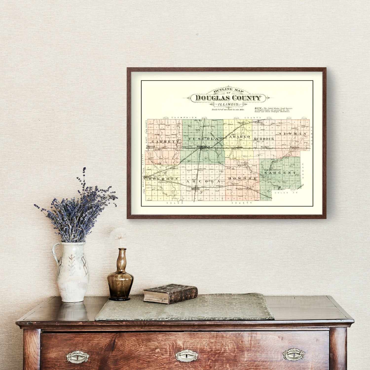 Vintage Map of Douglas County, Illinois 1893