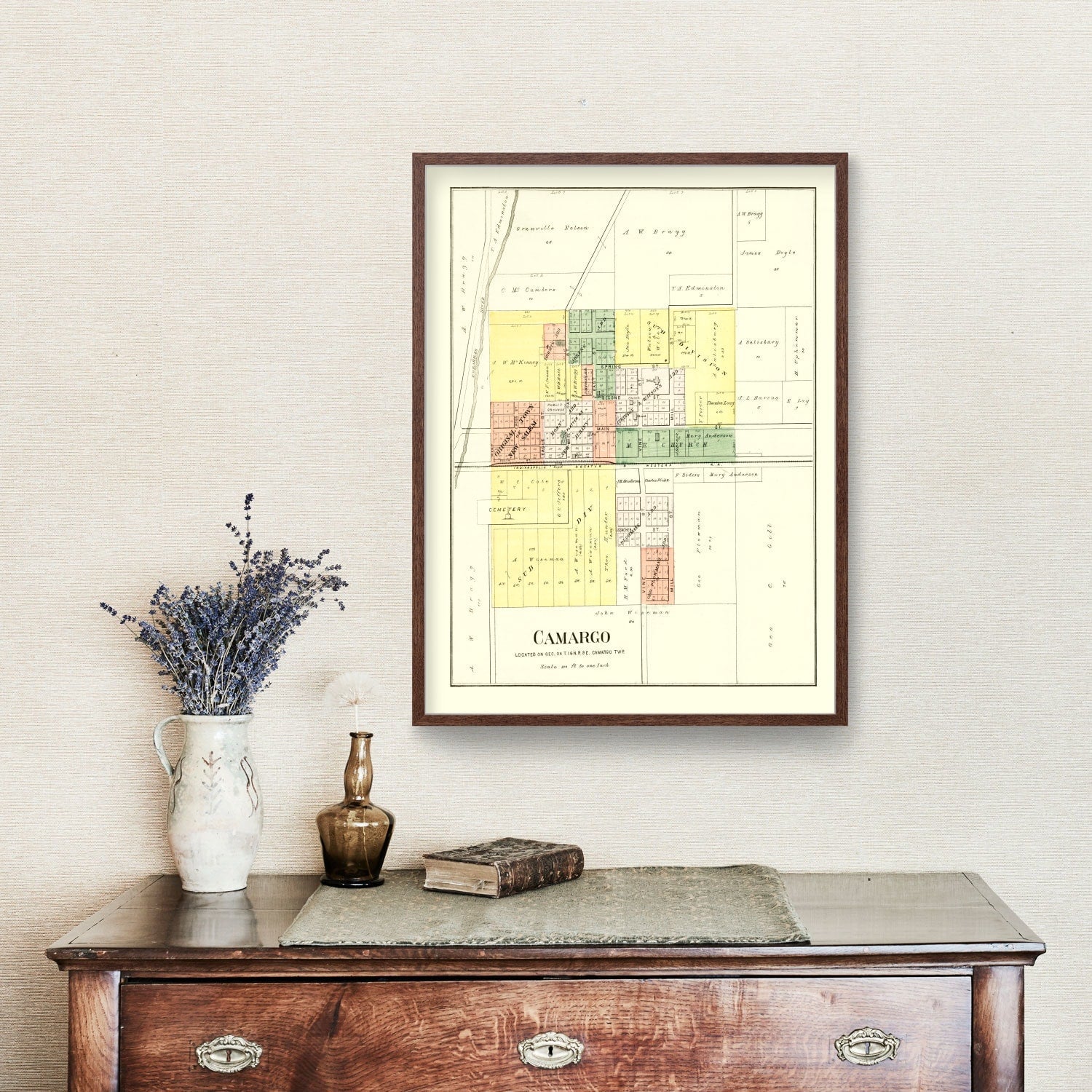 Vintage Map of Camargo, Illinois 1893