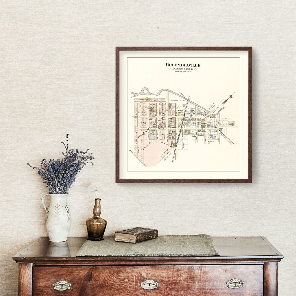 Vintage Map of Columbiaville, Michigan 1893