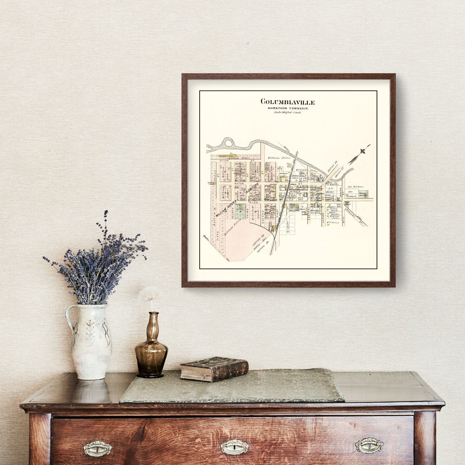 Vintage Map of Columbiaville, Michigan 1893