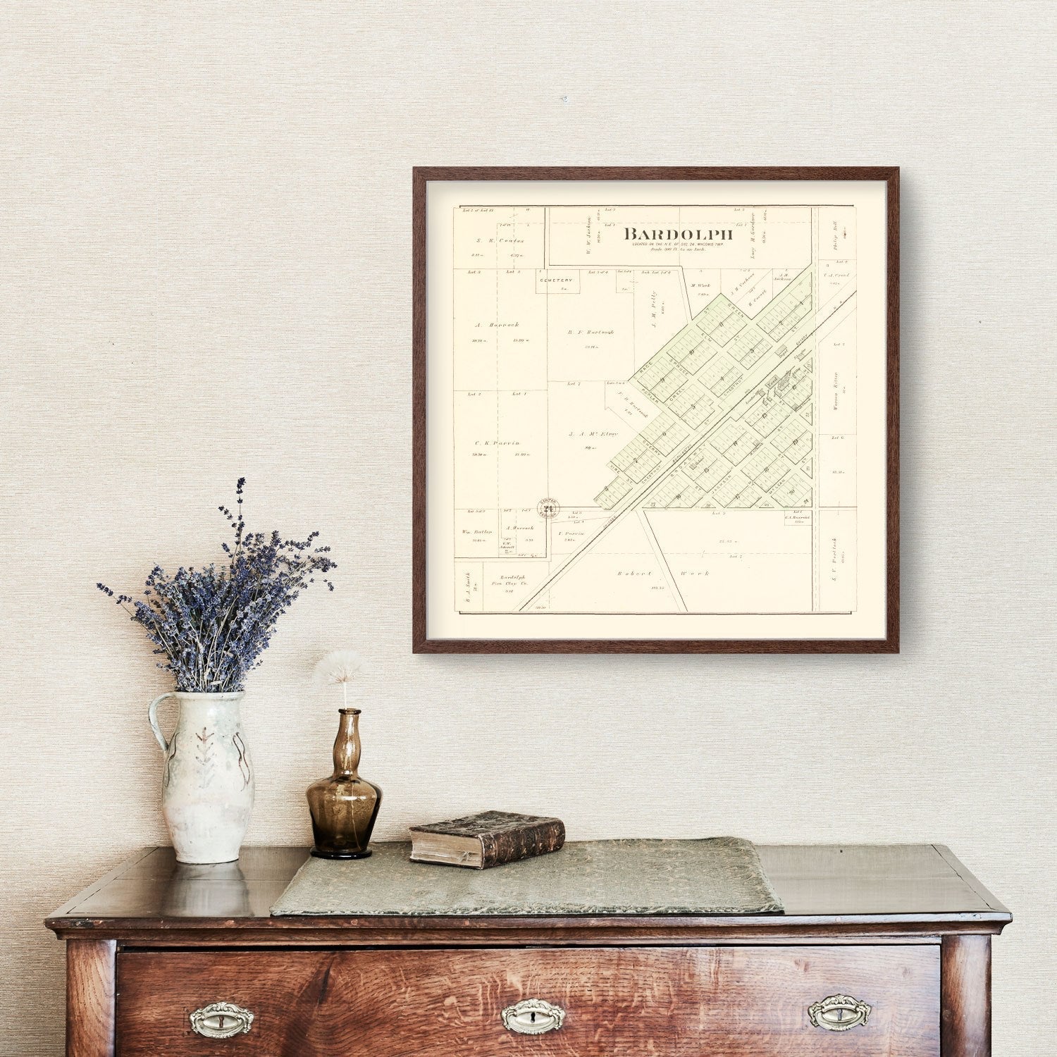 Vintage Map of Bardolph, Illinois 1893
