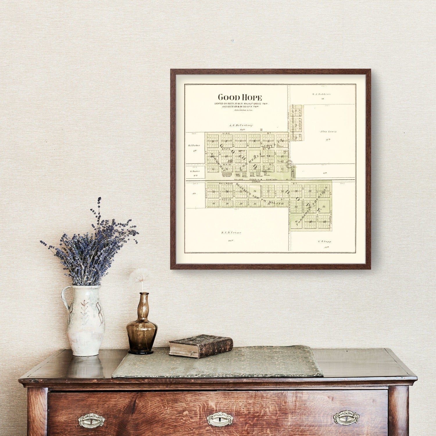 Vintage Map of Good Hope, Illinois 1893