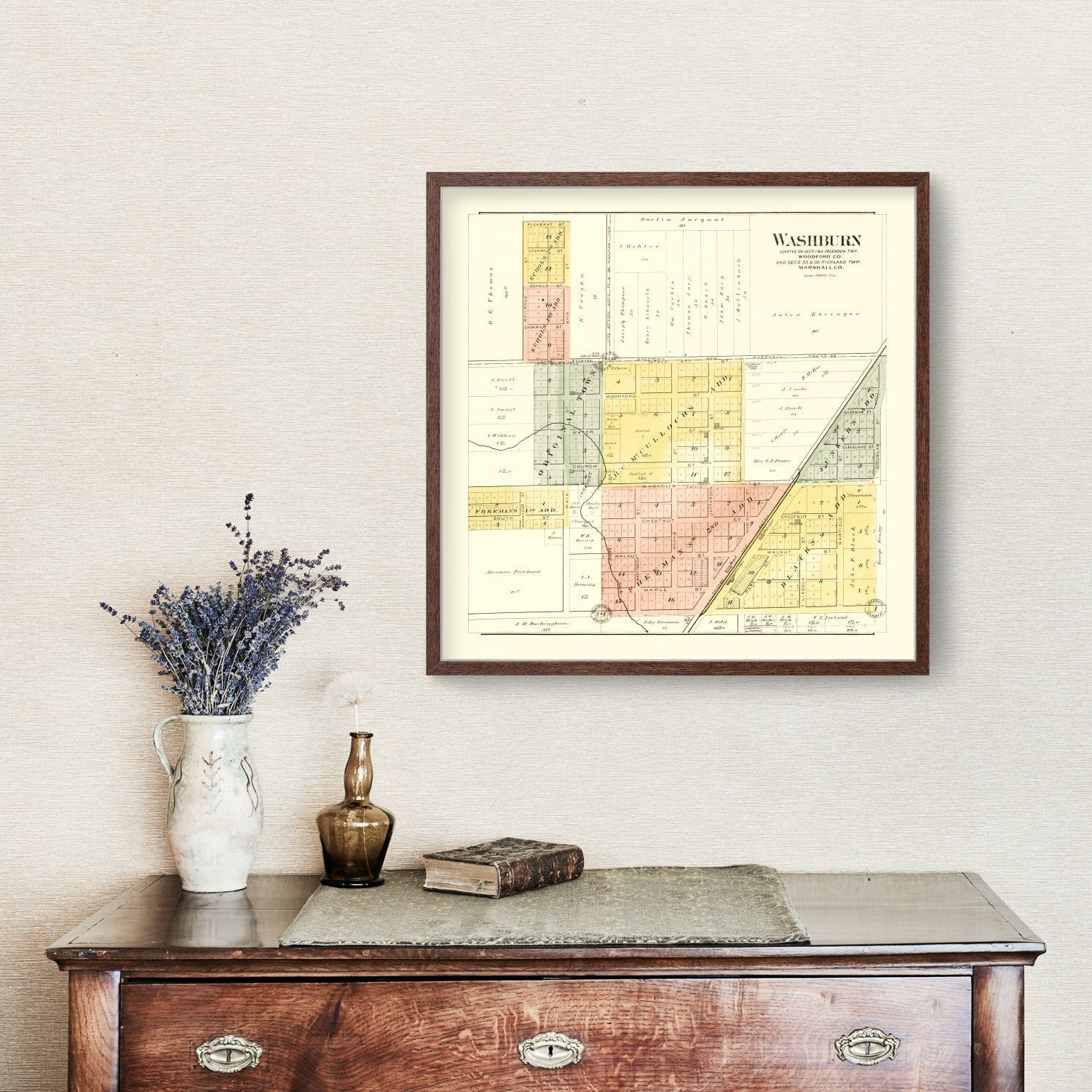 Vintage Map of Washburn, Illinois 1893