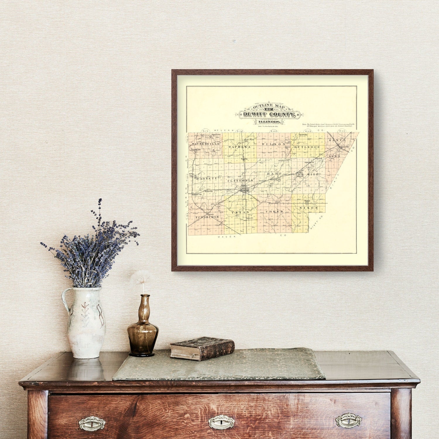 Vintage Map of De Witt County, Illinois 1894