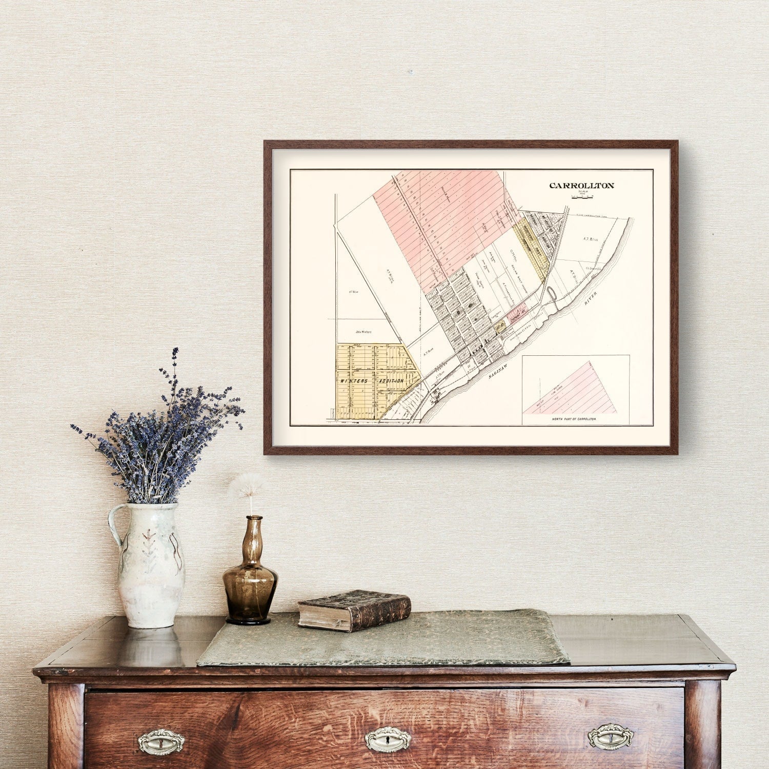 Vintage Map of Carrollton, Michigan 1896