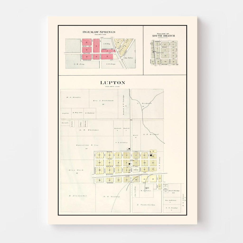 Vintage Map of South Branch, Michigan 1903