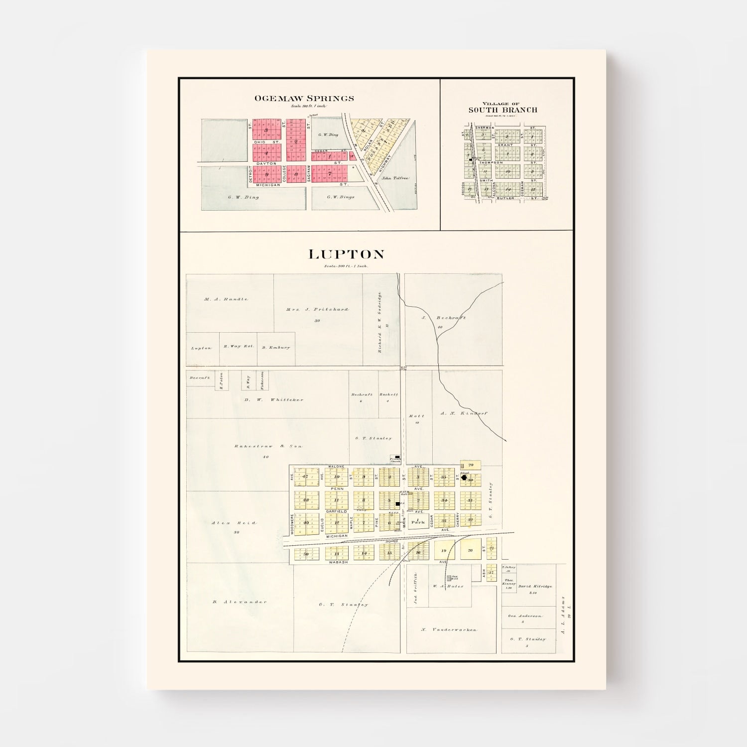 Vintage Map of South Branch, Michigan 1903