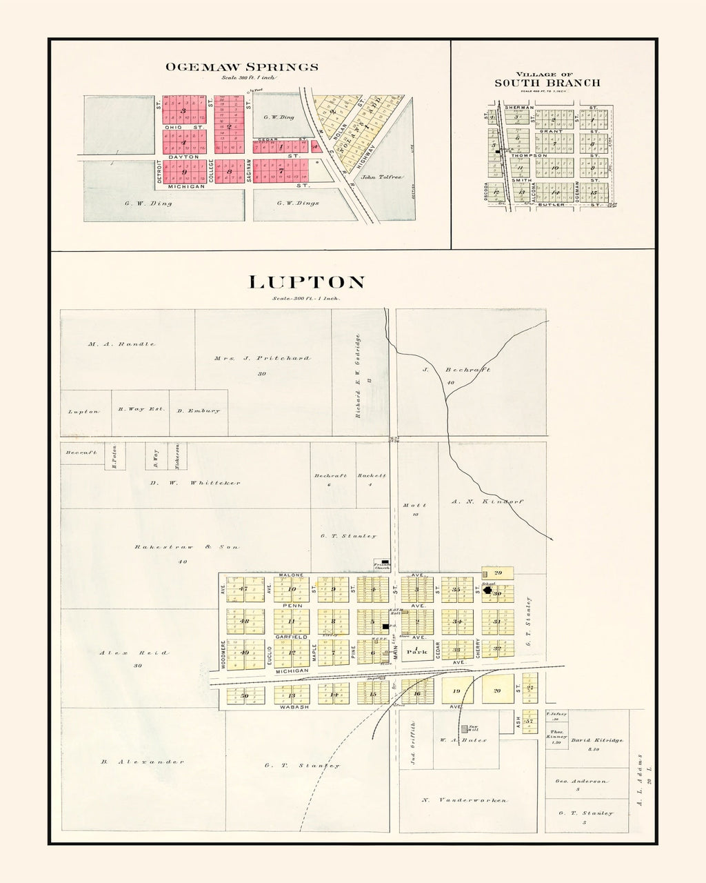 Vintage Map of South Branch, Michigan 1903