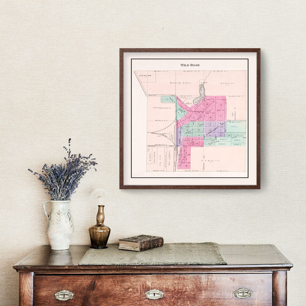 Vintage Map of Wild Rose, Wisconsin 1906