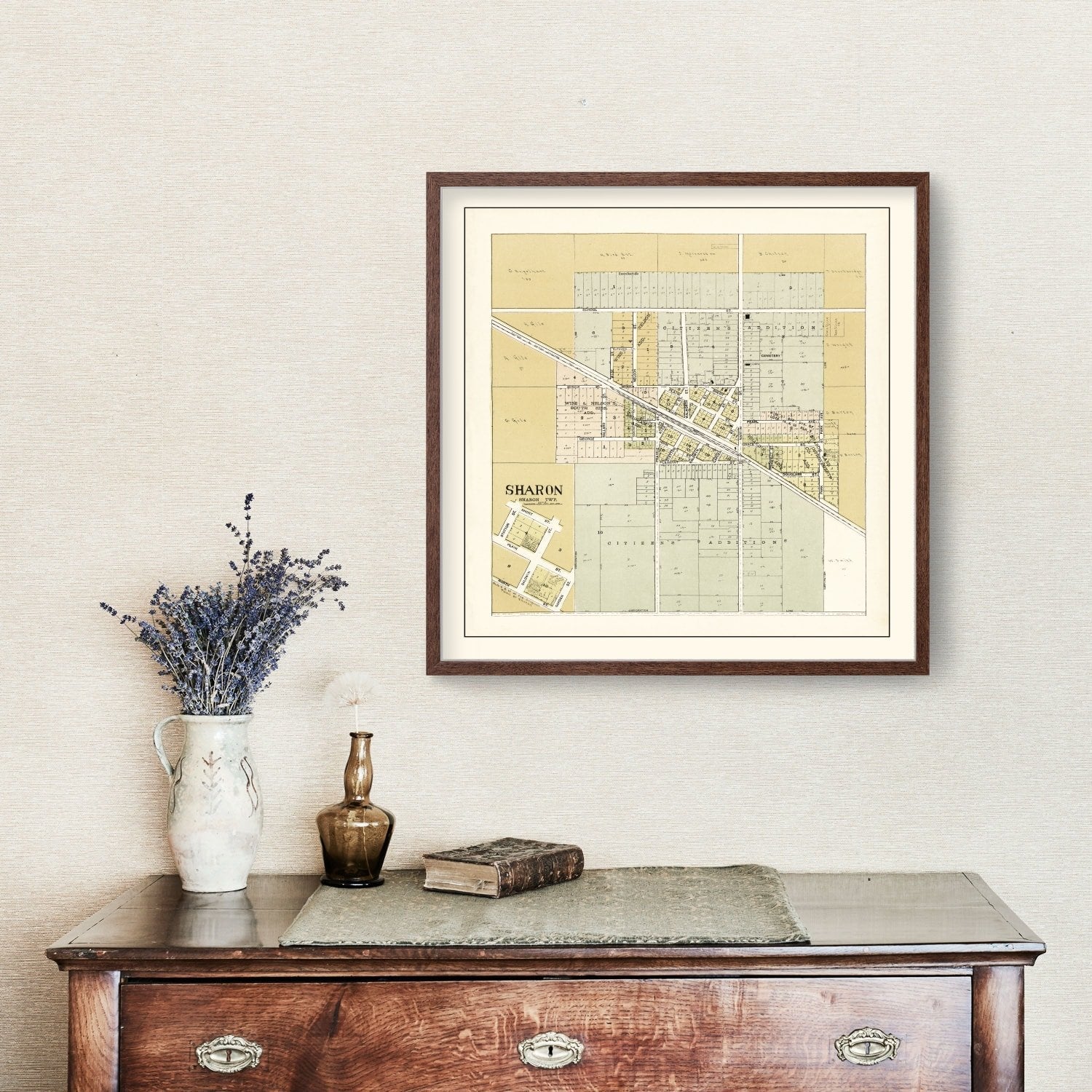Vintage Map of Sharon, Wisconsin 1907