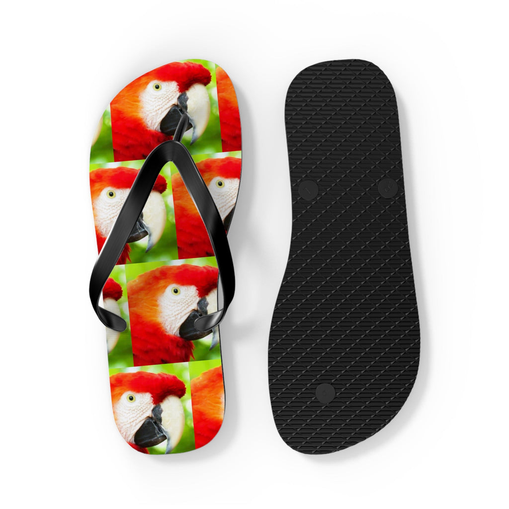 Scarlet Macaw Parrot Flip Flops