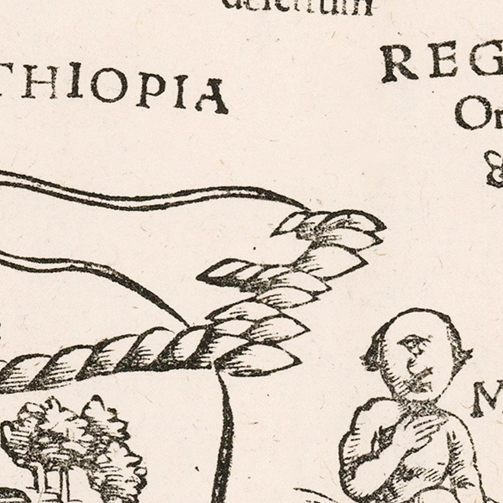 Vintage Africa Map 1574