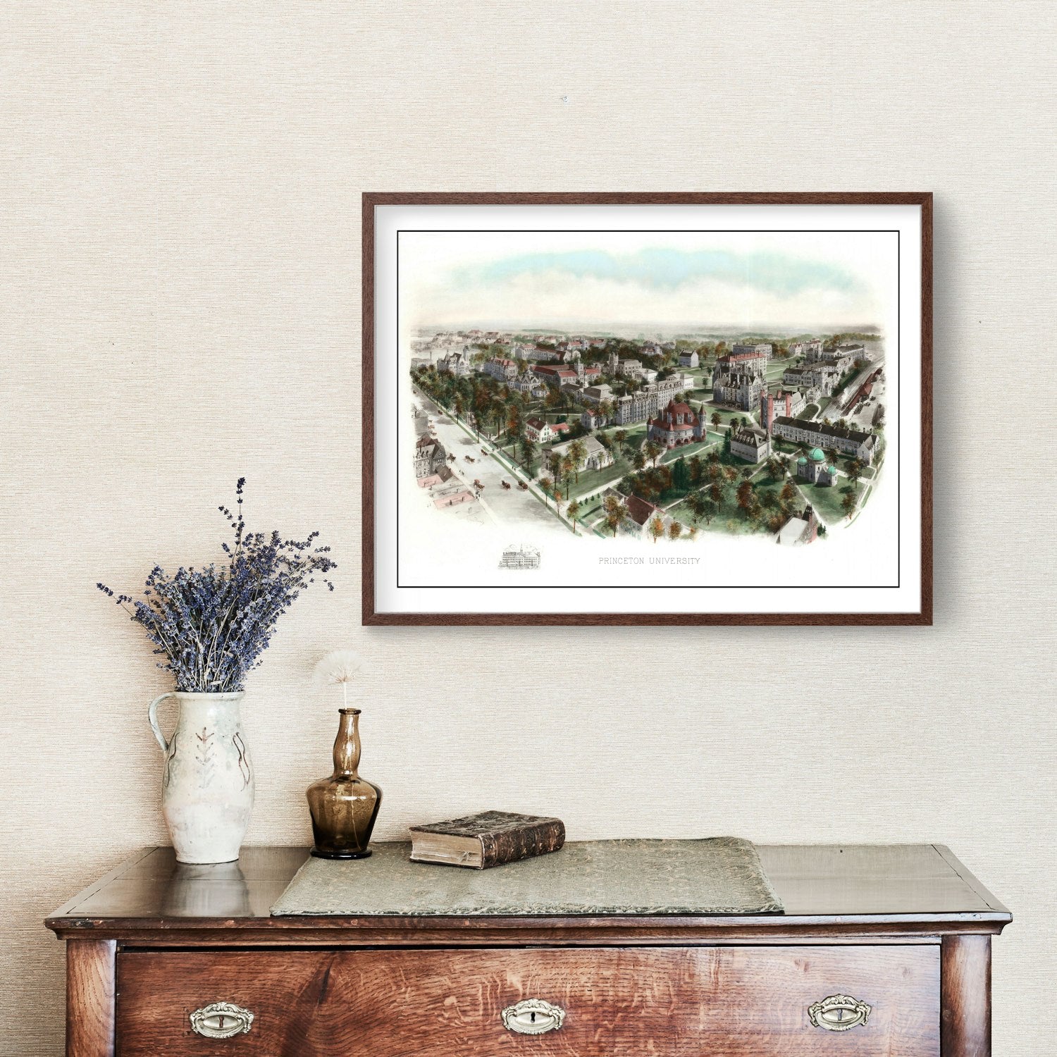 Vintage Princeton University Map 19006