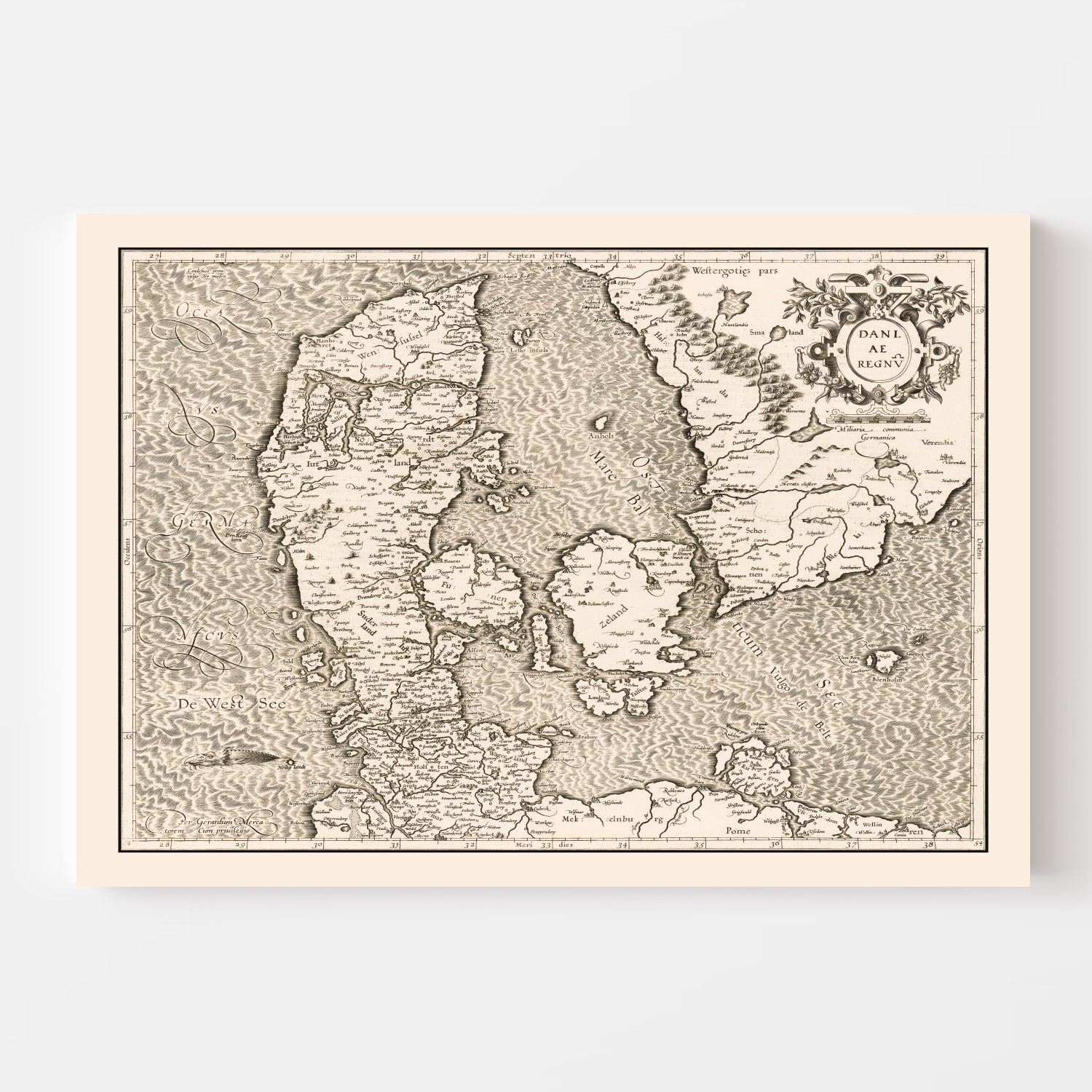Vintage Map of Denmark 1595