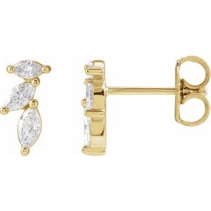Accented Earrings