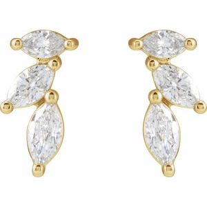 Accented Earrings
