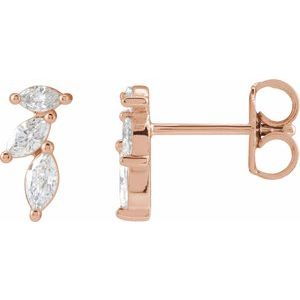 14K Rose Gold 1/3 CTW Natural Diamond Nature-Inspired Earrings